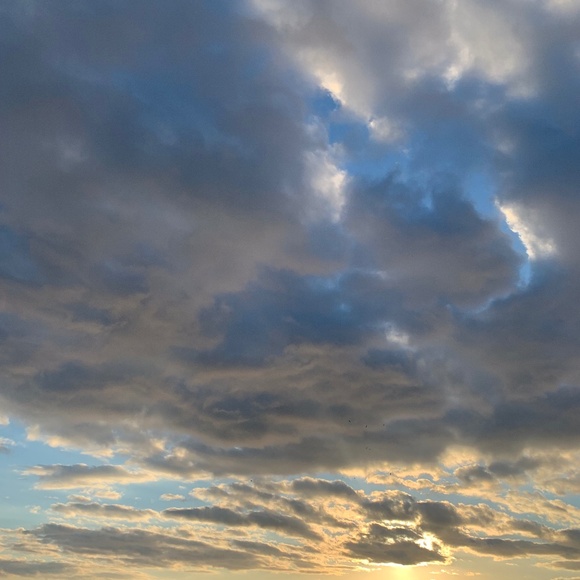 Meet your Posher, Macynicollette - Picture 1 of 1